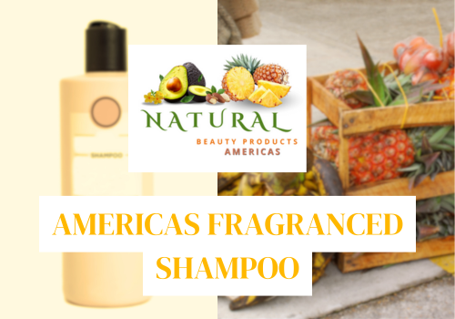 Americas Fragranced Shampoo